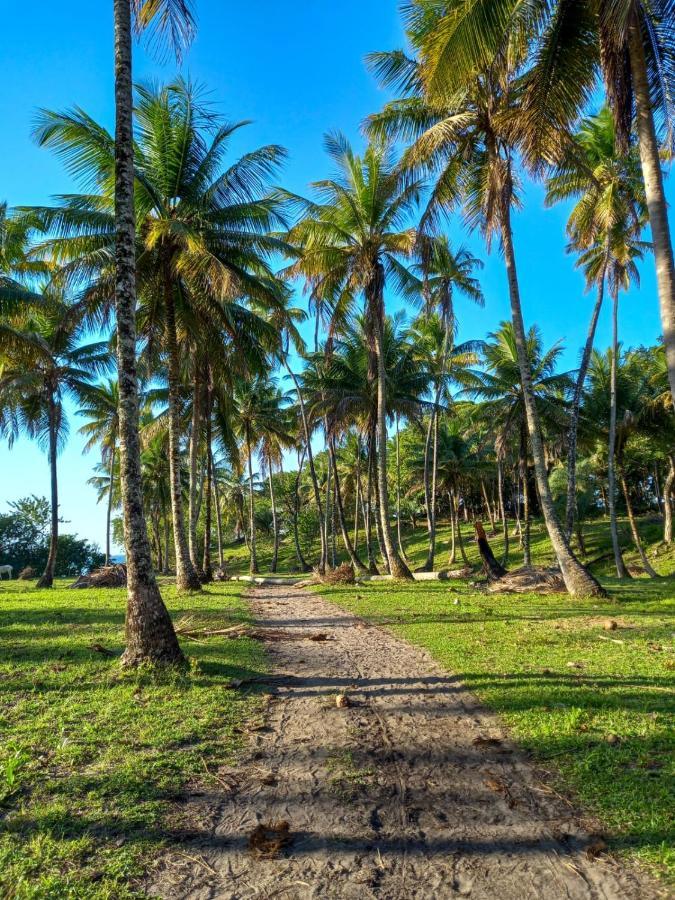 Pousada Beija Flor - Ilha Boipeba Velha Boipeba Exterior foto